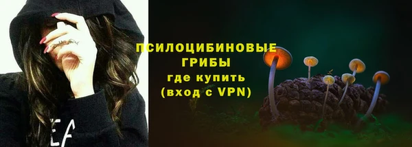 дживик Новодвинск