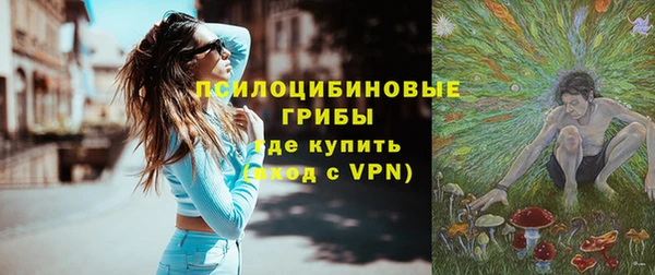 дурь Арсеньев