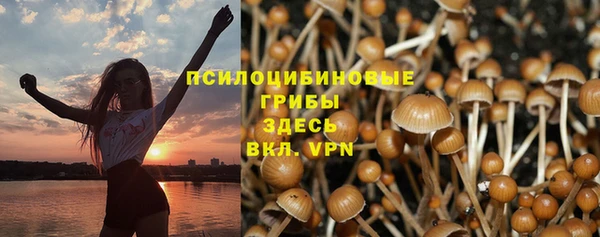 дурь Арсеньев